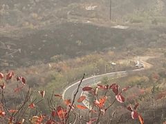 -定都阁