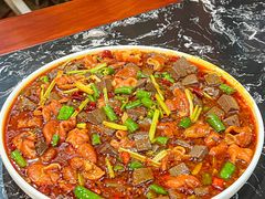 -后卫寨猫耳朵(后卫寨店)