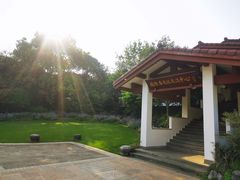 -中国茶叶博物馆(双峰馆区)
