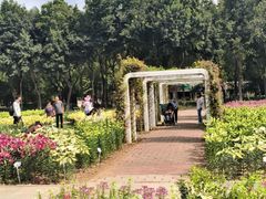 -石家庄市植物园