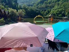 -西双版纳原始森林公园
