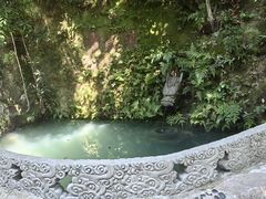 -十八棵（老龙井）御茶园(老龙井店)