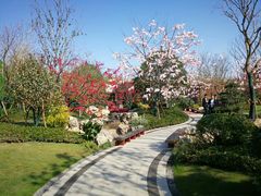 -上海长兴岛郊野公园