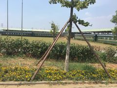 -武汉紫薇都市田园