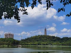 -顺峰山公园