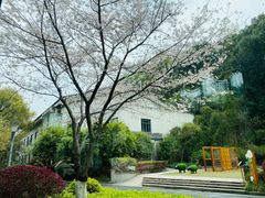 -浙江宾馆·花园餐厅·自助餐厅·茶吧