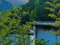-老张烤羊(王哥庄店)