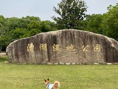 -漕湖湿地公园