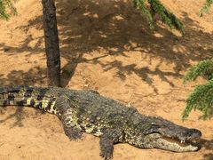 -石家庄市动物园