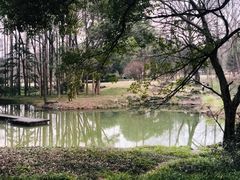 -杭州植物园