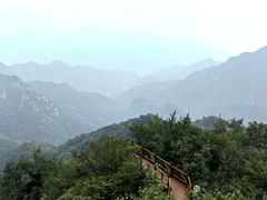-大岭沟猕猴桃谷风景区