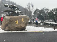 -洛阳古墓博物馆