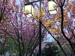 -江南大学(蠡湖校区)