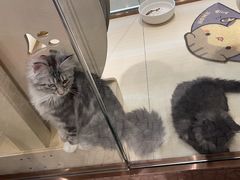 -上海尚嘉中心