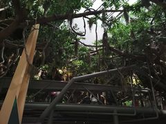 -武汉园博园(武汉自然博物馆)