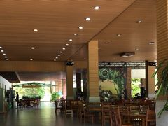 -兴隆槟榔园休闲农庄