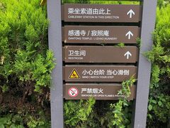 -苍山感通索道