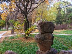 -万泉公园