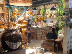 -自由生长植物工作室(深港花卉中心店)