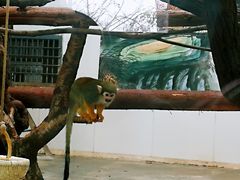 -西安秦岭野生动物园