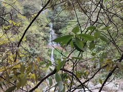 -大鄣山卧龙谷景区