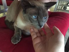 -MIKAKU(万达广场上海宝山店)