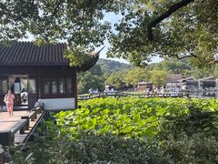 -西湖游船