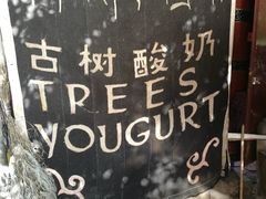 -古树酸奶(八廓南街店)