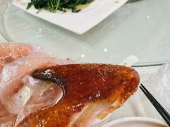 -强记烧鸡(信业悦都汇店)