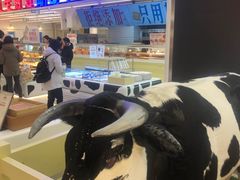 -红星前进面包牛奶公司(君太店)