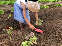 -前小桔亲子创意农场·草莓采摘·露营烧烤