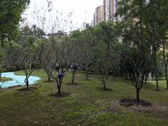 景点-堤角公园
