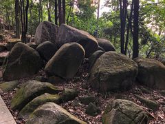 -火炉山森林公园