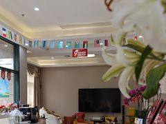 -土豆口腔(凤凰北总店)