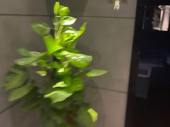 -霖公馆SPA·足道(普善路店)