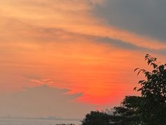 -圣淘沙天际线斜坡滑车