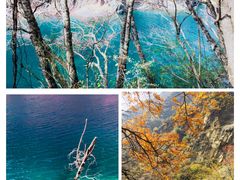 -叠溪松坪沟景区