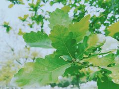 -白塘生态植物园