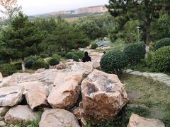 -莫子山公园