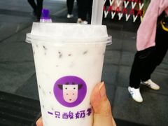 -一只酸奶牛(八一路店)