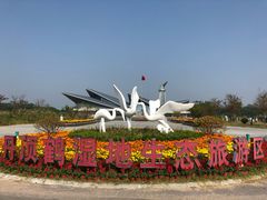 -盐城丹顶鹤湿地生态旅游区
