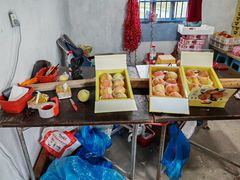 -南汇水蜜桃采摘(大团店)