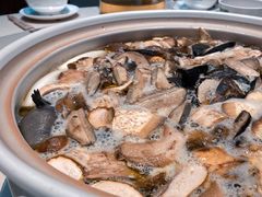 鸡汤锅-爱膳菌锅锅(阳南店)