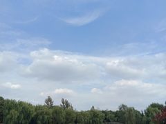 -宿豫区运河湾森林动物园