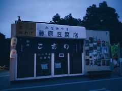 -南山植物园