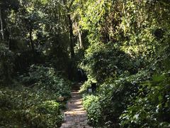 -普者黑风景区-青龙山