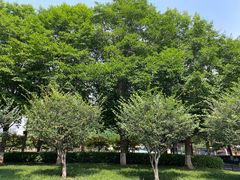 -辛亥革命博物院北区