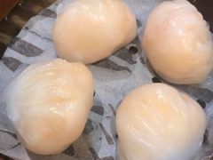 -添好运点心专门店(北角店)