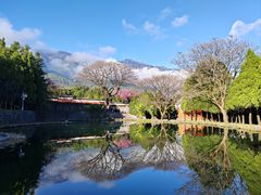-崇圣寺三塔文化旅游区