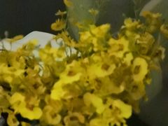 -雲汇影院式足浴(21世纪北环店)